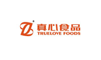 网站建设公司